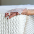 Main sous Alese Plateau Jetable Soft